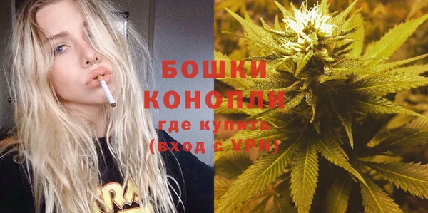 spice Ельня