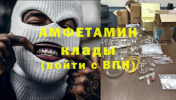 гидра Арсеньев