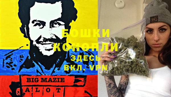 2c-b Алзамай