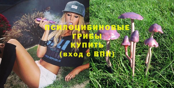 2c-b Алзамай