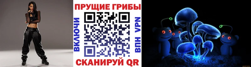 где купить наркотик  Мичуринск  OMG ссылка  Галлюциногенные грибы Cubensis 